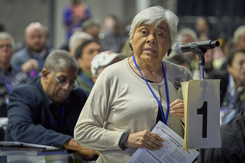 Indigenous Inclusion Debate